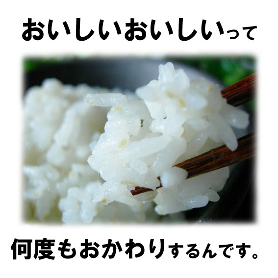 栄養ぎっしり米の力無洗米2kg送料無料お試し九州産米4kg2キロ×2個