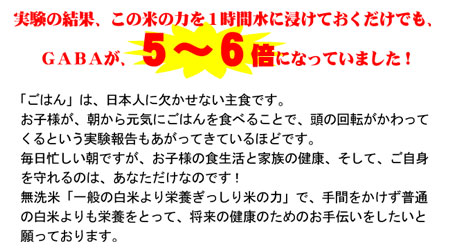 送料無料無洗米栄養ぎっしり米の力2kg送料無料お試し九州産米4kg2キロ×2個洗わなくていい無洗米は、無洗米のお店「米穀館」におまかせください!