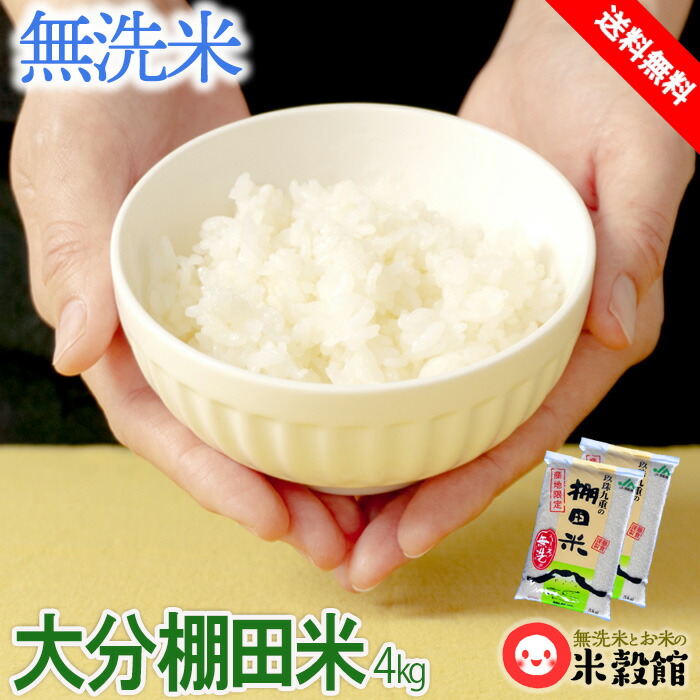 楽天市場】無洗米 10kg 玖珠九重の棚田米 九州産 米 送料無料 5kg×2個