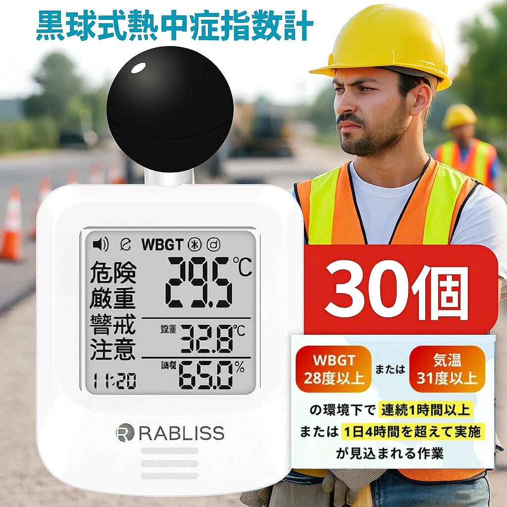 【30個セット】 熱中症指数計 屋外 携帯 黒球式熱中症指数計 プロ仕様の新定番【信頼のJIS準拠】 熱中症対策 球式 黒球 WBGT 測定器工事現場 法人・業務用に最適 ラブリス 時計 熱中症計 温湿度計 時計表示付き アラーム機能 カラビナ付 温度計 屋内 屋外 室内 外 学校