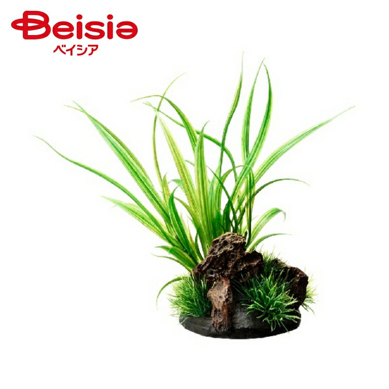 水槽 ジェックス 癒し水景 アクアキャンバス シペルス 12 1個当たり9円 プランツ ペット 高品質の激安 水槽 ジェックス 癒し水景 アクアキャンバス シペルス 12 1個当たり9円 プランツ ペット 高品質の激安
