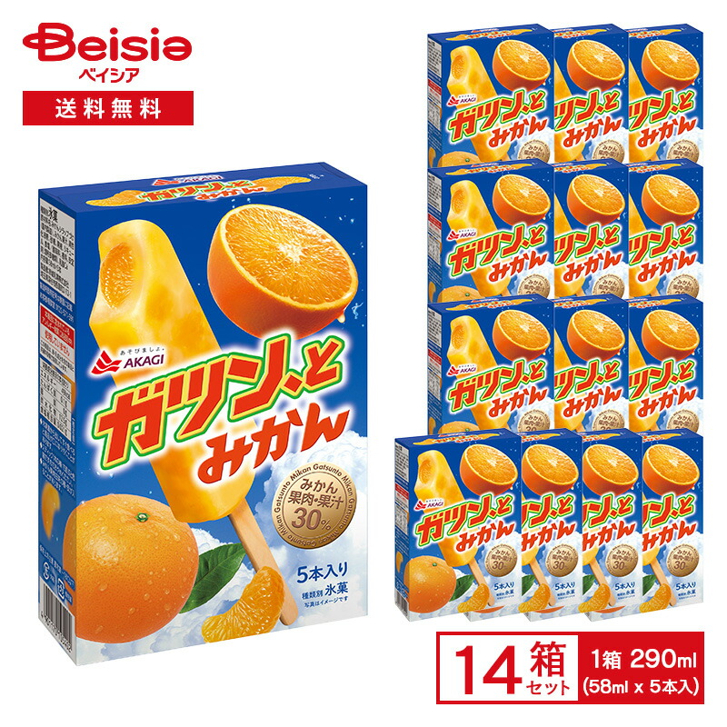 みかん 楽天市場】赤城乳業 ガツン、とみかん マルチ 290ml（58ml×5本入