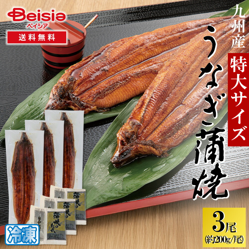 九州産有頭うなぎ蒲焼3尾 特大サイズ タレ・山椒付（約200g／尾） | うなぎ 蒲焼き 3尾 国産 九州産 特大 サイズ 200g 送料無料 冷凍 土用丑の日 丑の日 鰻 ウナギ