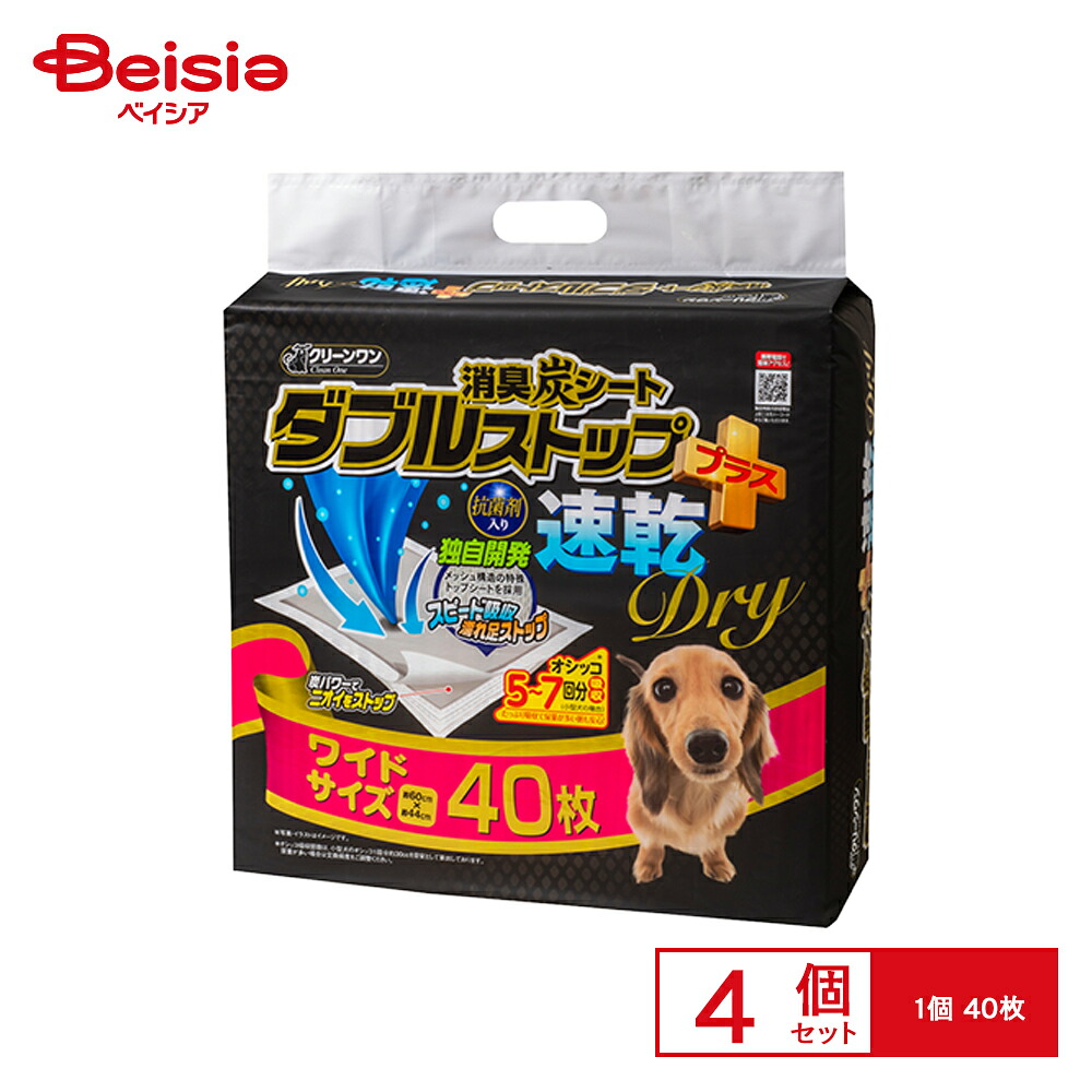＆H [ アンドエイチ ] 特集