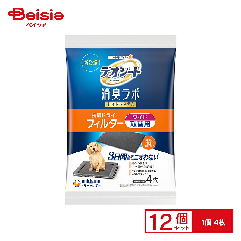 ＆H [ アンドエイチ ] 特集