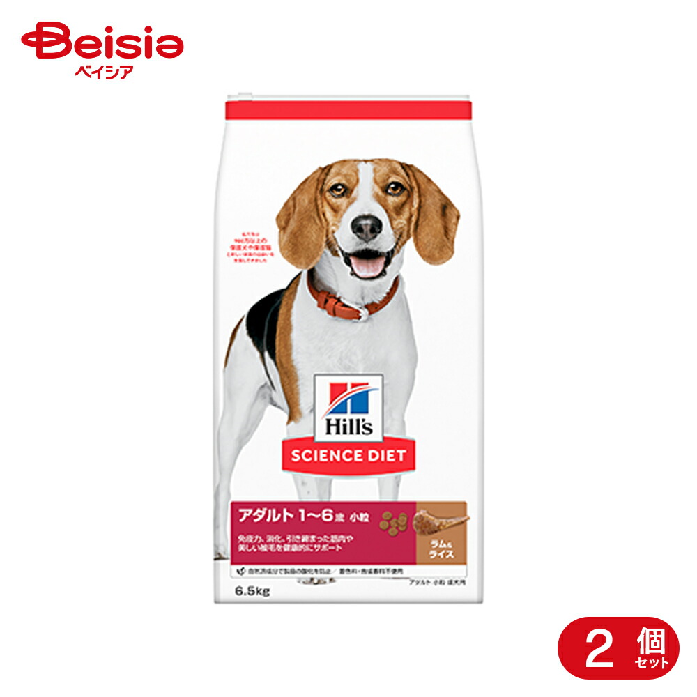 愛玩動物ボンネット・設備特集