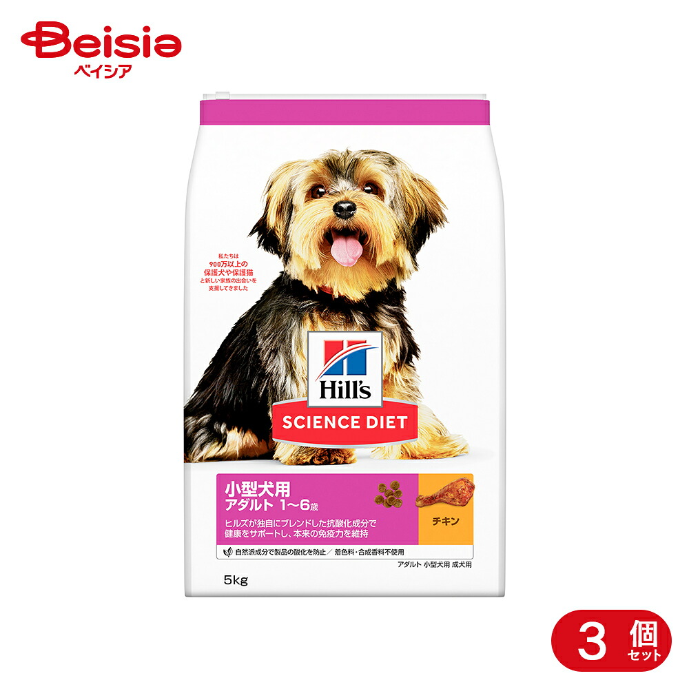 愛玩動物ボンネット・備品特集