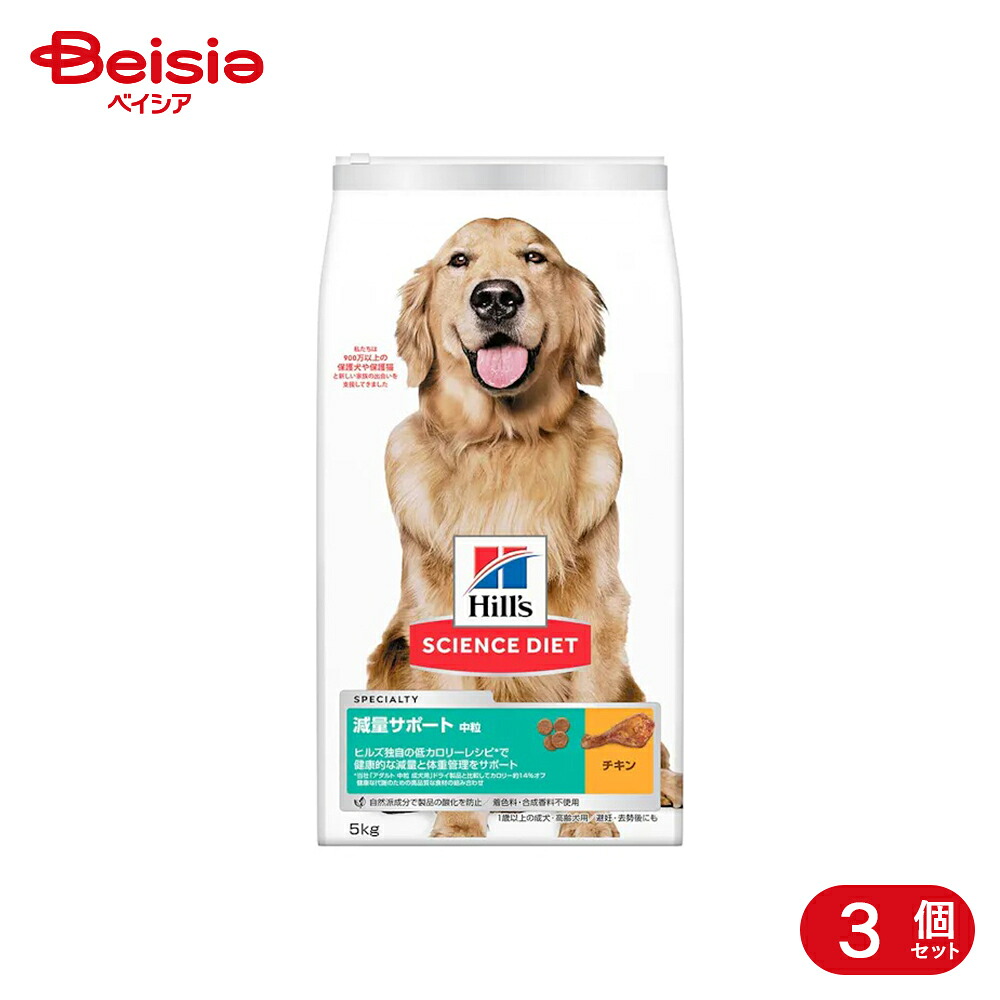 愛玩動物ボンネット・備品特集