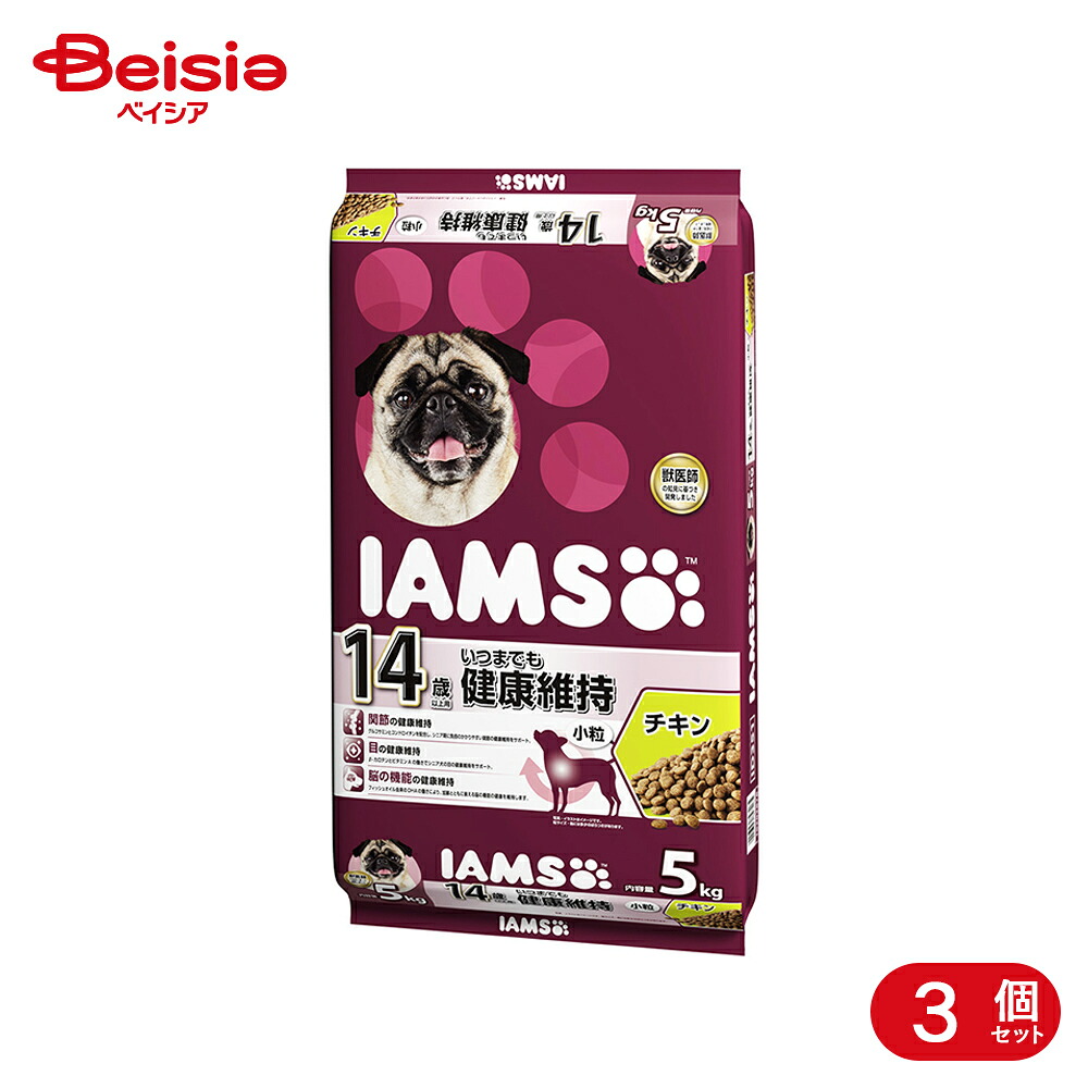 愛玩動物ボンネット・備品特集