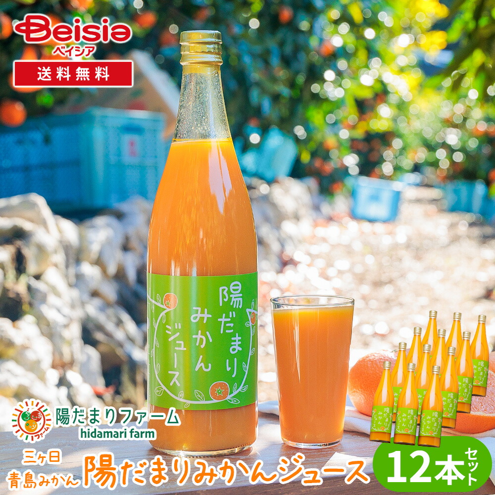 陽だまりファーム 三ヶ日青島みかんジュース ストレート100% 720ml 12本セット|ベイシア店