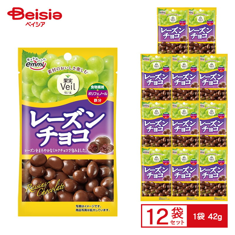 ヨーグルトレーズンチョコレート500g 8袋 ヨーグルトレーズンチョコ | 株式会社ロビニア
