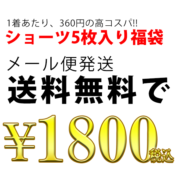 大きいサイズレディース ショーツ福袋 下着 福袋 インナー パンツ レディース 女性用 5枚セット ノーマルショーツ