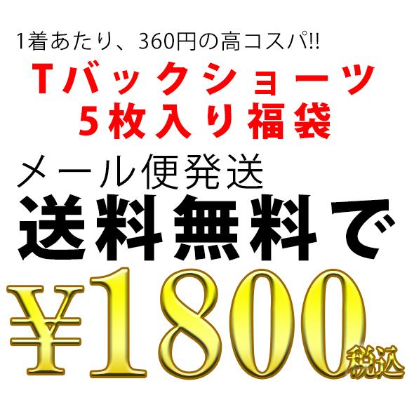 大きいサイズレディース Tバック 5枚セット ショーツ福袋 福袋 インナー レディース パンツ