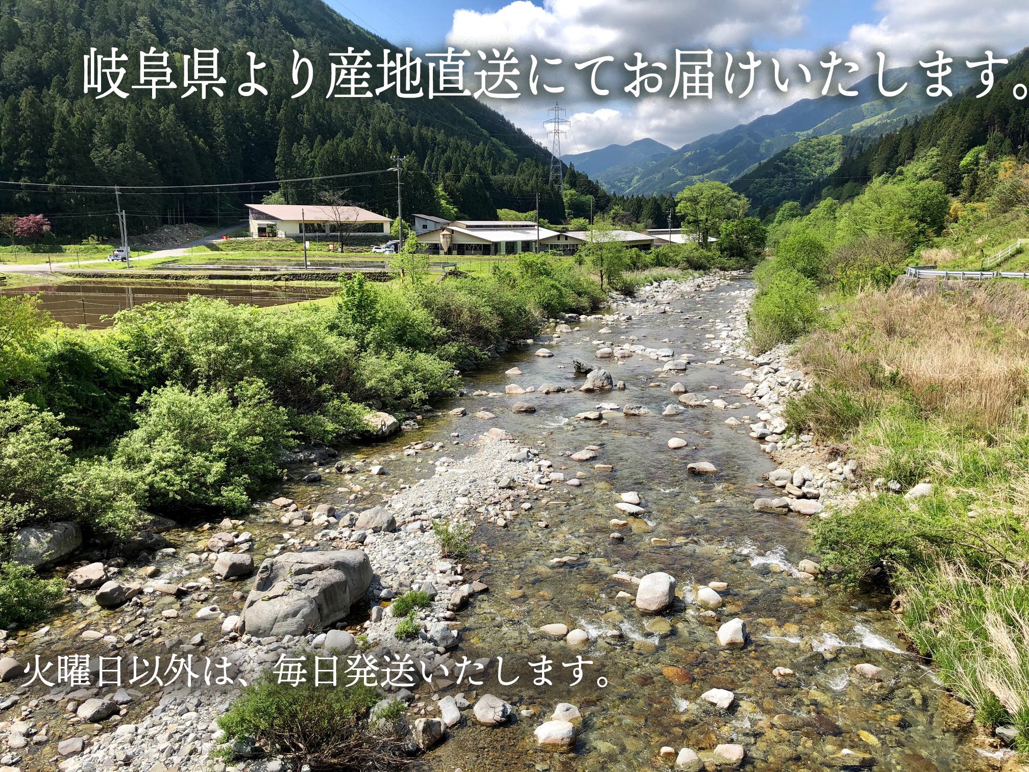 飛騨牛風景