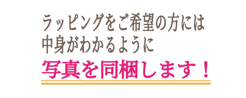 正規品ペアウォッチgショックCASIOジーショックベビージー記念日誕生日カップル贈り物夫婦20代30代40代50代婚約結婚人気プレゼント送料無料ペアウオッチgショックGショックG-SHOCKBABY-Gペア腕時計カシオ2本セットAW5912AJF-BGA1301BJF