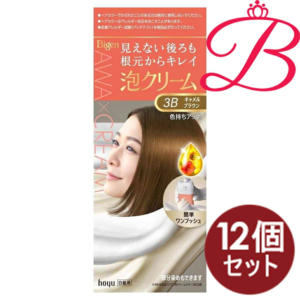 【12個書き割り】ビゲン 泡 皮膚軟化剤色つや 3B 駱駝 BR