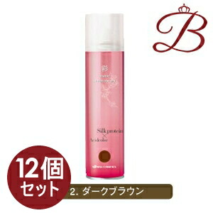 【×12個】イリヤ 彩 酸性ヘアカラースプレー (ダークブラウン) 120g