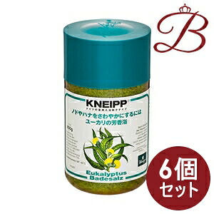 【×6個】クナイプ バスソルト ユーカリノキの芳ばしさ 850g