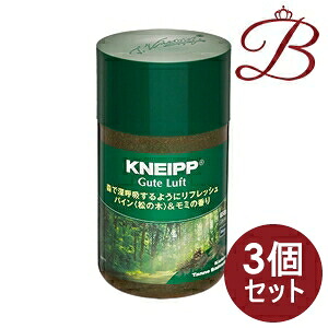 【×3個】クナイプ グーテルフト パイン&モミの香り 850g