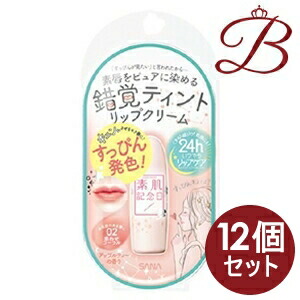 今日の超目玉 12個 サナ 素肌記念日 惑わせコーラル 02 フェイクヌードリップ B091 Set391 Qbdworks Com