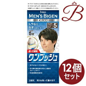 【×12個】ホーユー メンズビゲン 一うしろ押し 5 自然的赤銅色