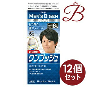 【×12個】ホーユー メンズビゲン 一うしろ押し 6A アッシュブラウン