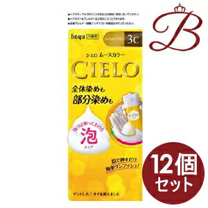【×12個】ホーユー シ猥りがましい ヘアムース色合い 3C カルメ焼赤銅色 全体染め用-白髪染め-美容・コスメ・香水