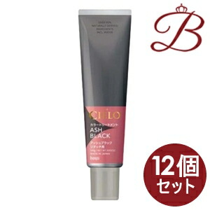 【×12個】ホーユー シエロ カラートリートメント リタッチ用 アッシュブラック 140g