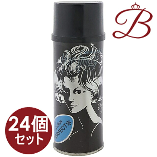 【&times;24個】英昌化学 エーション　パーフェクト 380ml｜bellashop