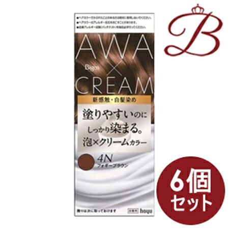 【×6個】ビゲン　泡クリームカラー　フォギーブラウン　 50g+40g+5mL