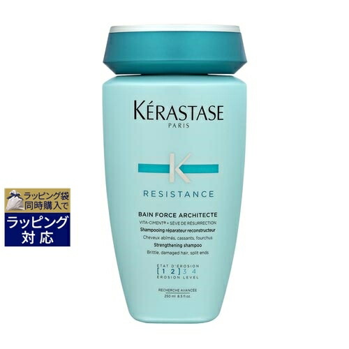 ケラスターゼ RE ソワンド フォルス 1000ml ポンプ付き Amazon | ケラスターゼREソワンドフォルスN（業務用）1000g 国内