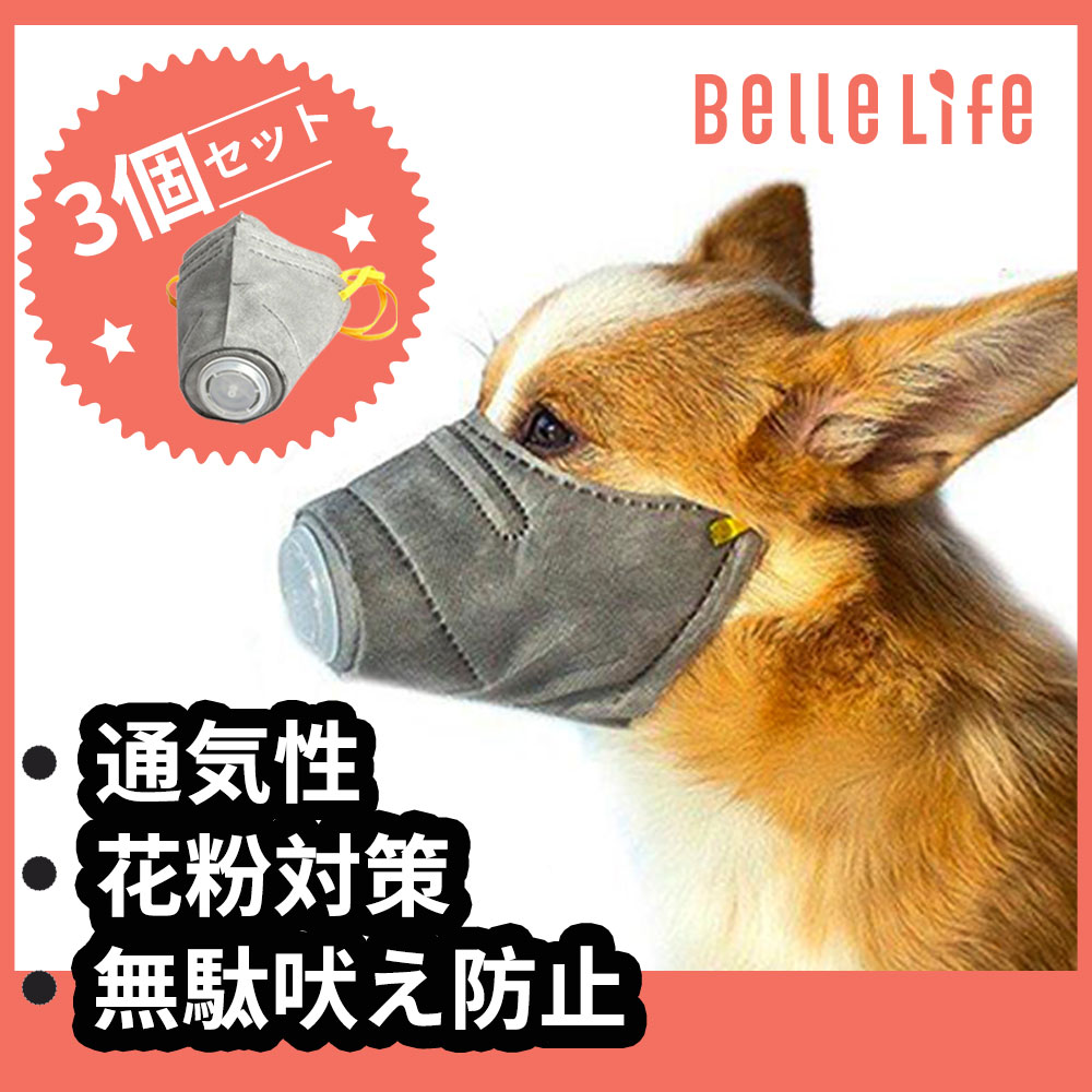 信頼 ペット用 イブ サン ベルナルド 長毛種用 ペット用お手入れ用品 Ab 1000ml マラクジャマスク 犬用品 Indonesiadevelopmentforum Com