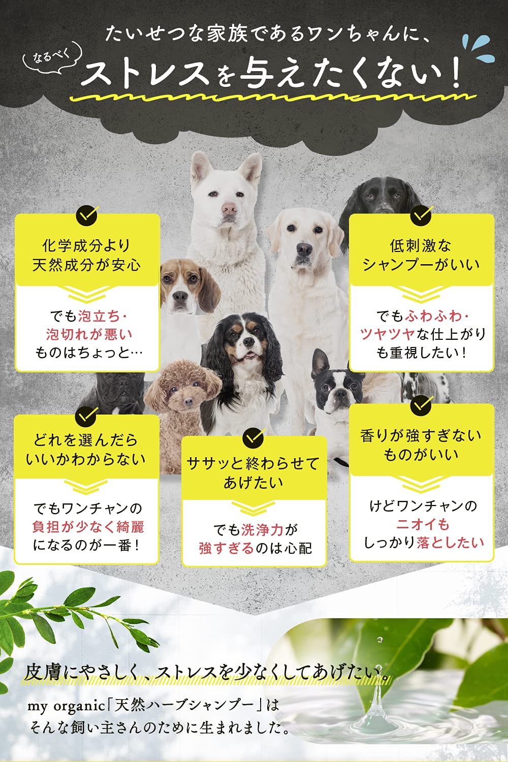 犬 シャンプー 無添加 獣医推奨 マイオーガニック 犬用シャンプー 大容量 500ml 日本製 ノンシリコン で ふわふわ ツヤツヤ オーガニック 成分で舐めても安心 弱酸性 低刺激 合成香料 着色料 不使用 全 犬 種 用 Umu Ac Ug