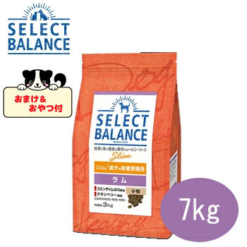 【おまけとおやつ付】セレクトバランス アダルト スリムラム 小粒 7kg 成犬の体重管理用 避妊・去勢手術後の太りやすい体質の成犬用 低脂肪 ドッグフード プレミアムフード 去勢犬 ダイエット ラム 肥満犬用 小型犬用 総合栄養食 正規品