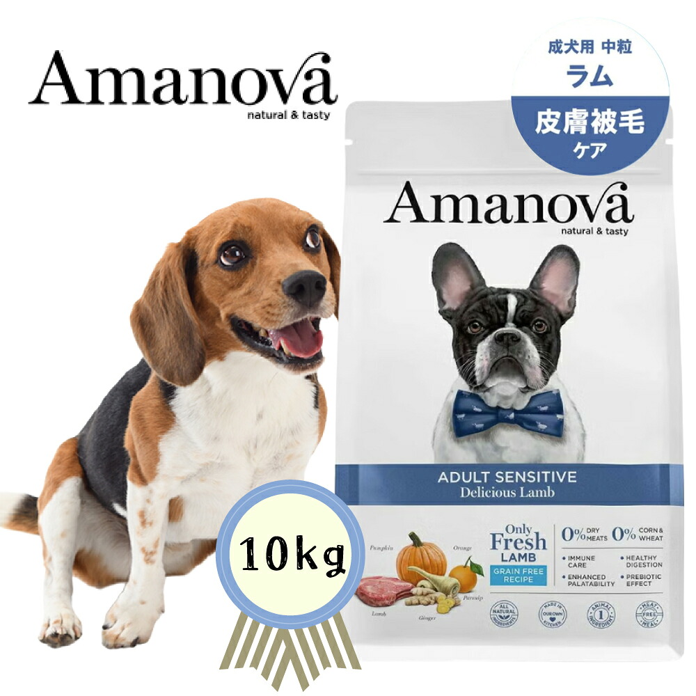 ★早い者勝ち限定クーポン★アマノバ アダルト センシティブ デリシャス ラム 中粒 10kg　穀物不使用 グレインフリー 皮膚被毛ケア 正規品｜ペットストア　ベルルーン 19,800円