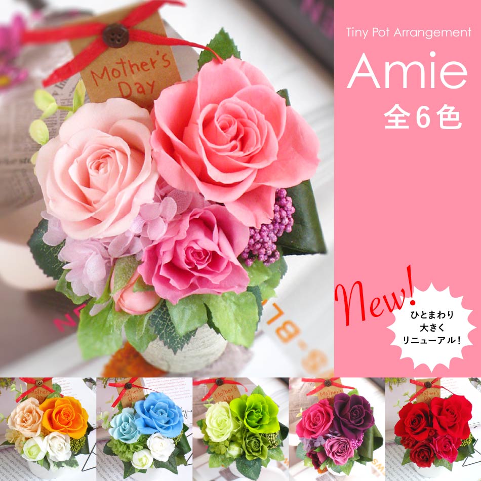 楽天市場 母の日 プレゼント 花 プリザーブドフラワー Amie アミ あす楽対応 Arg 送料無料 花 ギフト プレゼント 父の日 敬老 誕生日 結婚 両親贈呈 開業 開店 新築 退職 異動 内祝い 歓送迎 ケース入り オーダー可能 プリザーブドフラワーベルフルール