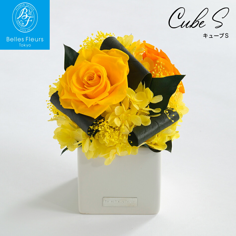 プリザーブドフラワー ギフト ケース入り 花 ギフト 誕生日 プレゼント ブリザードフラワー 母の日 父の日 敬老 結婚祝い 開業 開店 新築 退職 異動 内祝い 歓送迎 上司 定年 妻 友人 母親 フレンチスタイル キューブ 即日 キューブS