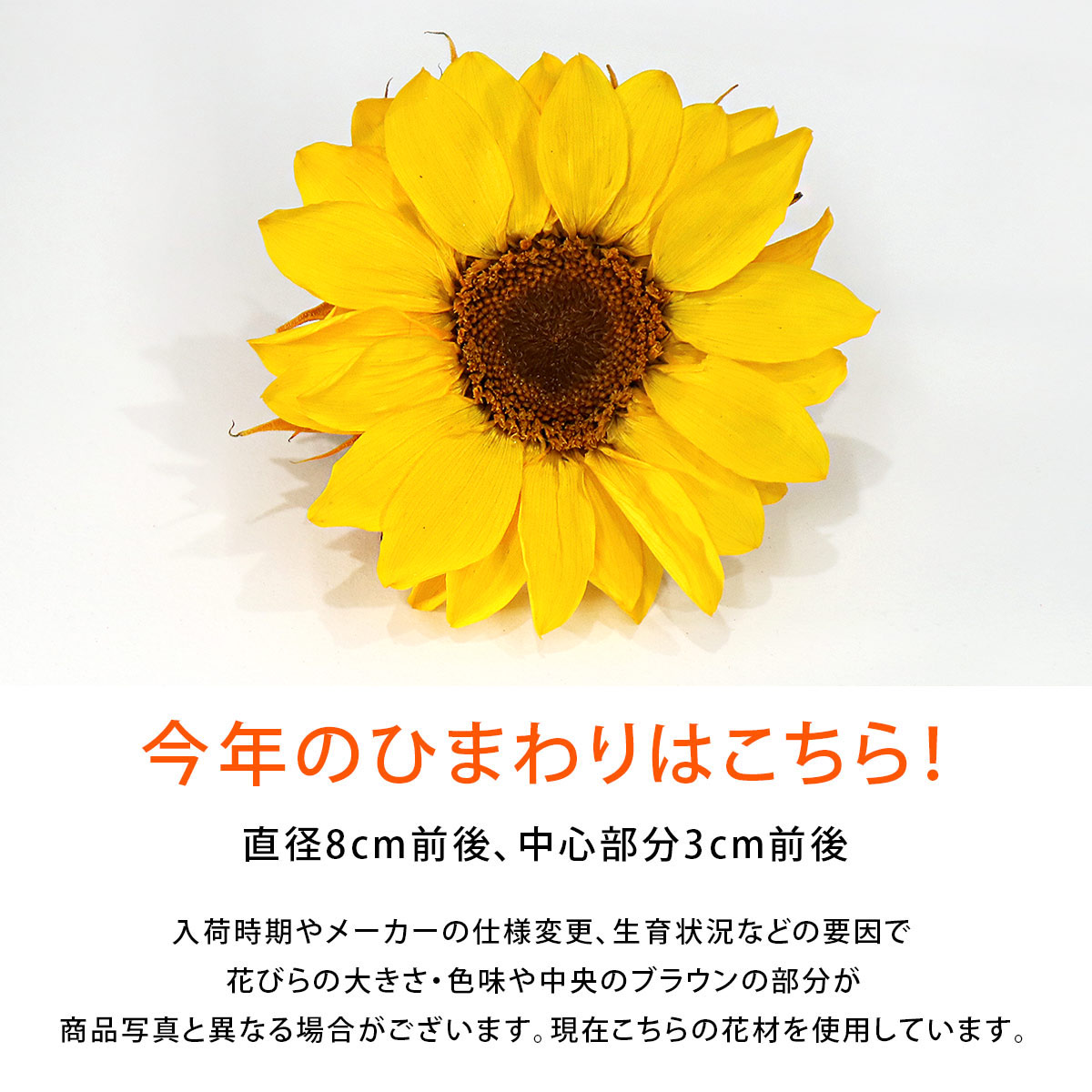 プリザーブドフラワー 誕生日 ブリザード ブリザーブド ヒマワリ 向日葵 ひまわりボックスフラワー Arg Boxflowerあす楽対応 Box 花 ギフト 母の日 父の日 7月 8月 誕生日 結婚 両親贈呈 開業 開店 新築 退職 異動 内祝い 歓送迎 ケース入り オーダー可能