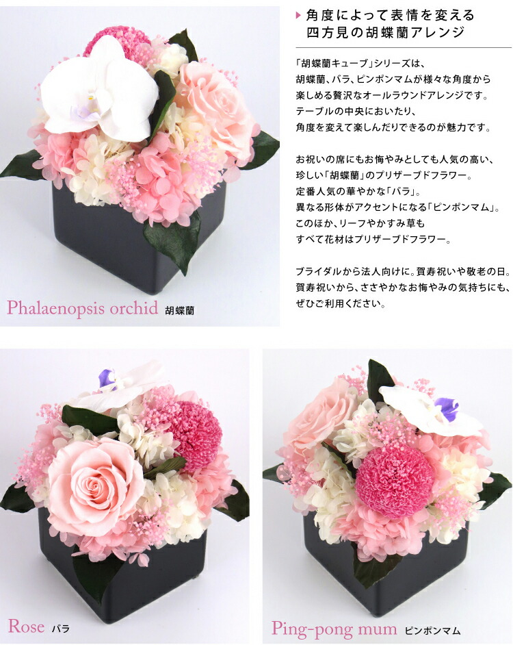 メール便なら送料無料 楽天市場 母の日プレゼント 花 プリザーブドフラワー 胡蝶蘭キューブs Arg 送料無料あす楽対応 花 ギフト プレゼント 誕生日 結婚 両親贈呈 開業 開店 新築 退職 異動 内祝い 歓送迎 仏花 お悔やみ お盆 新盆 初盆 お彼岸 志 一対 可能
