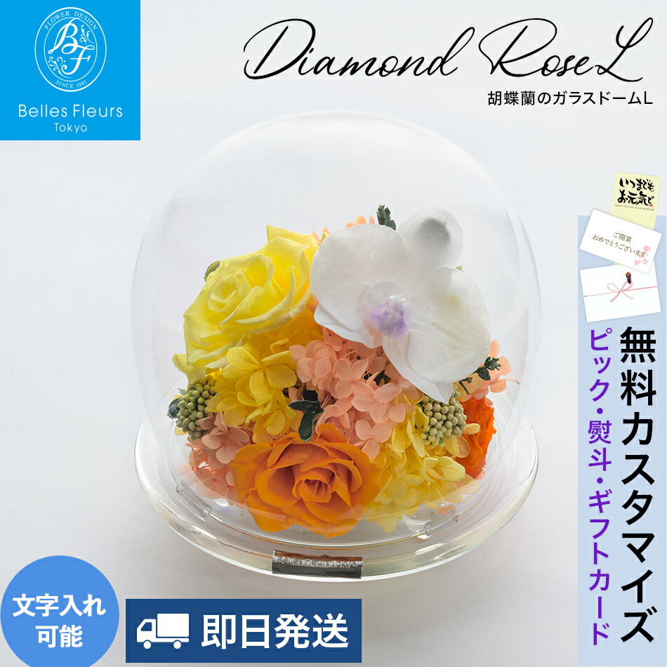 プリザーブドフラワー ケース入り ガラスドーム 還暦祝い お祝い 花 還暦 緑寿 古希 喜寿 卒寿 傘寿 米寿 祝い プレゼント 仏花 胡蝶蘭 ドーム 大きい お供え 花 お供え用 ギフト ケース入り 誕生日 両親 プリザ 内祝い 法人 胡蝶蘭のガラスドームL