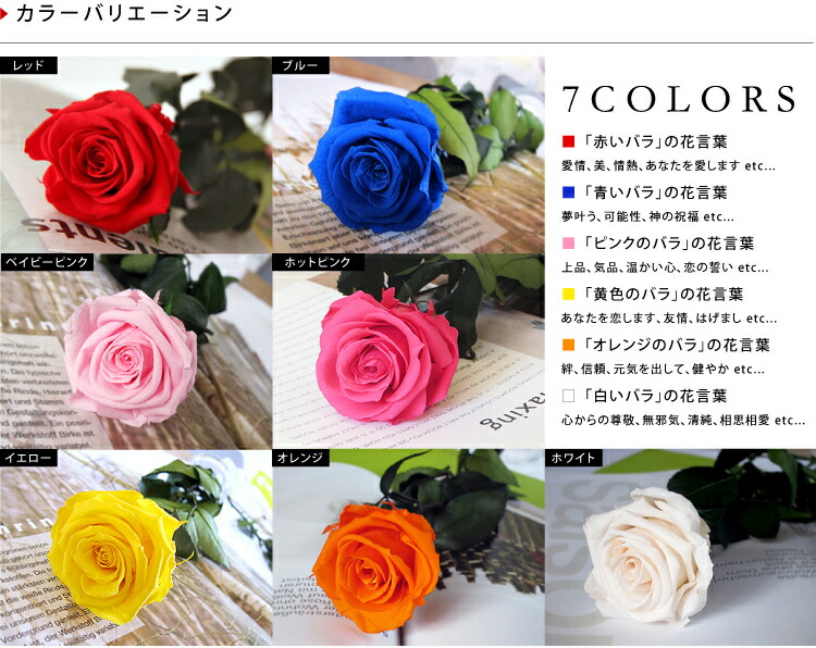 Peserved Flower Belles Fleurs 進入支持kazu向有purizabudofurawa 莖桿的玫瑰 紅瞿麥japan 贈送的玫瑰花的boq花束1輪花束花禮物禮物敬老生日結婚父母贈呈開業開店新建離職調動家族慶賀歓送迎 情况 日本樂天市場
