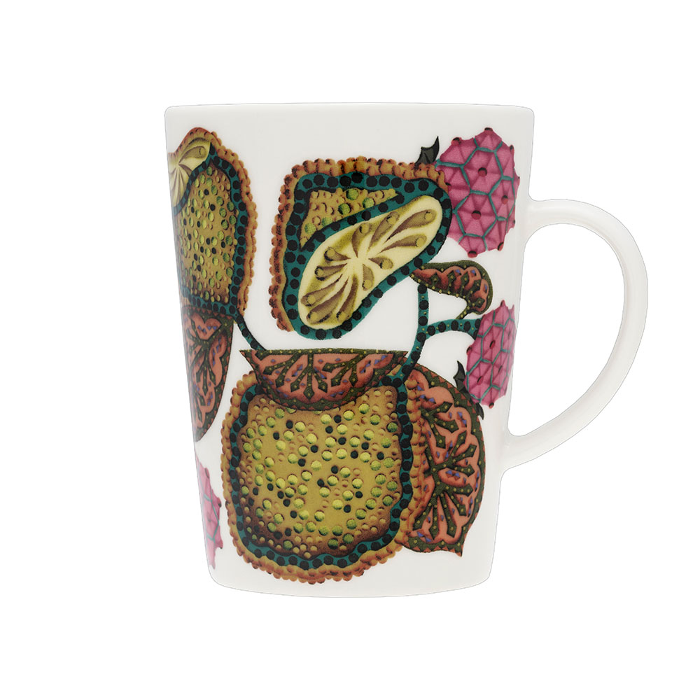 楽天市場】イッタラ タイカ 15周年 マグ ペア 0.4L 特製ギフト