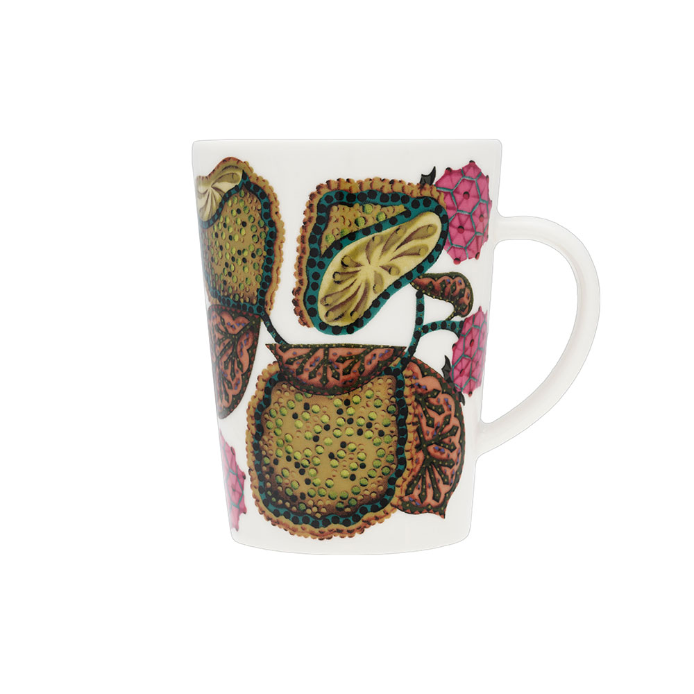 12個セット　イッタラ　サト　 楽天市場】イッタラ iittala taika Sato タイカ サトスクエア プレート