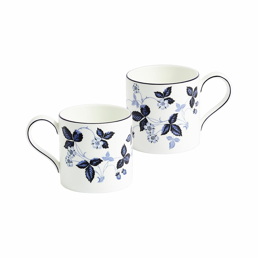 美品⭐︎ウエッジウッド　エクストラ　2セット ウェッジウッド フェスティビティ スターターセット ブルー アイボリー