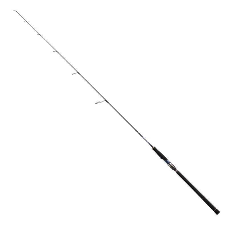 ダイワ(DAIWA) ソルティガ R J60S-2 HI