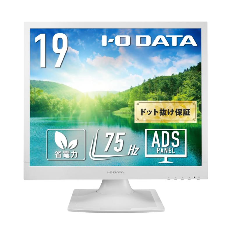 IODATA 管する 19in 真四角 SXGA ADSダイアログボックス 白いこと(アナログRGB/DVI-D/VESA相応う/金棒引き付//日本製造会社) EX-SAX191DW