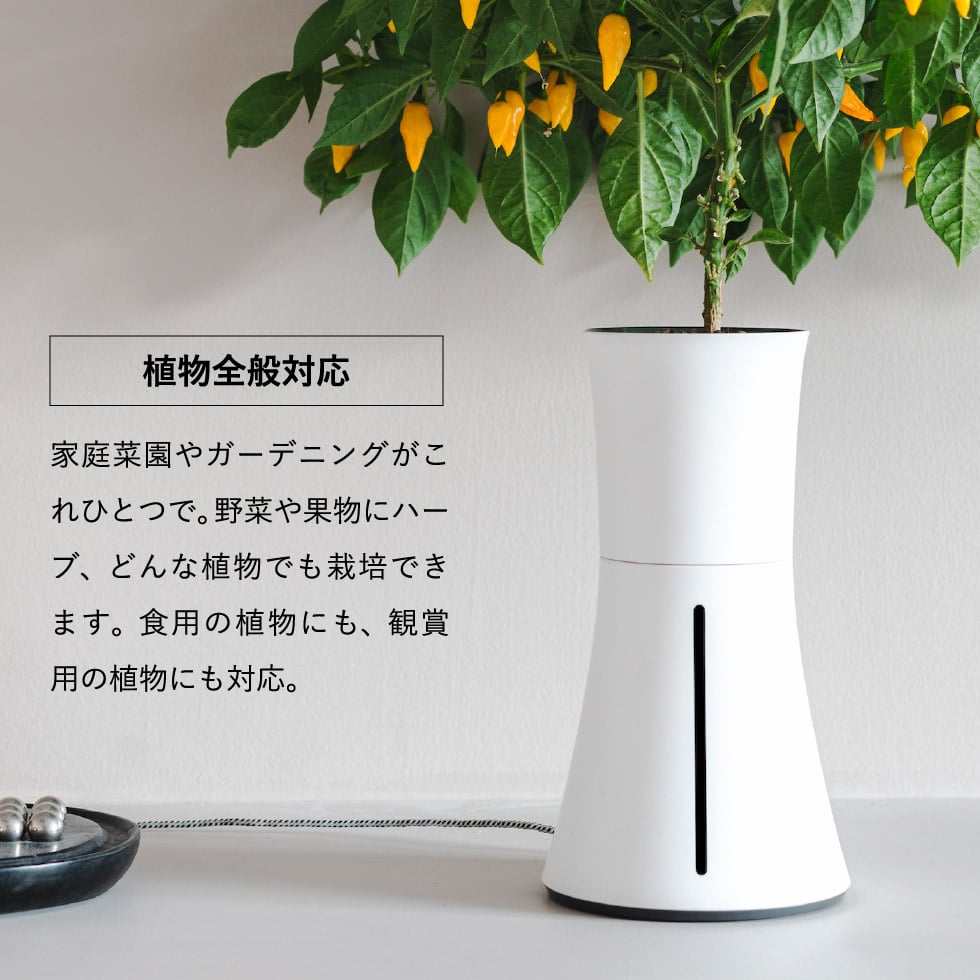 スマート水耕栽培キット ボタニアム Botanium 家庭菜園 プランター 送料無料 あす楽 水やり 自動