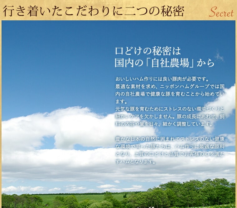 暑中見舞い ハム お中元 お中元 暑中お見舞い 日本ハム ギフト 加工品 日本ハム ハム メーカー直送 送料無料 出荷期間 6 22頃 8 6頃 美ノ国 残暑見舞い ハム 御中元 ハム詰め合わせ ハムギフト 食品 セット 詰合せ 詰め合わせ 暑中お見舞い 残暑お見舞い Ltdu