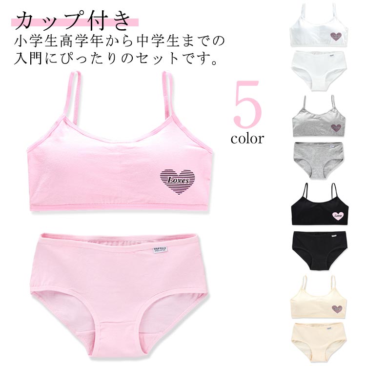 楽天市場】 ショーツセット 女の子 ジュニア向け 下着セット