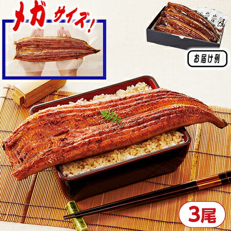 正規品直輸入 うなぎ ウナギ 鰻 お歳暮 23 ギフト 送料無料 人気 メガ 超特大 鹿児島県産 蒲焼き 3尾 Fucoa Cl 正規品直輸入 うなぎ ウナギ 鰻 お歳暮 23 ギフト 送料無料 人気 メガ 超特大 鹿児島県産 蒲焼き 3尾 Fucoa Cl